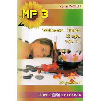 WELLNESS & SPA 1 – 432 hz – 10 GODZIN mp3